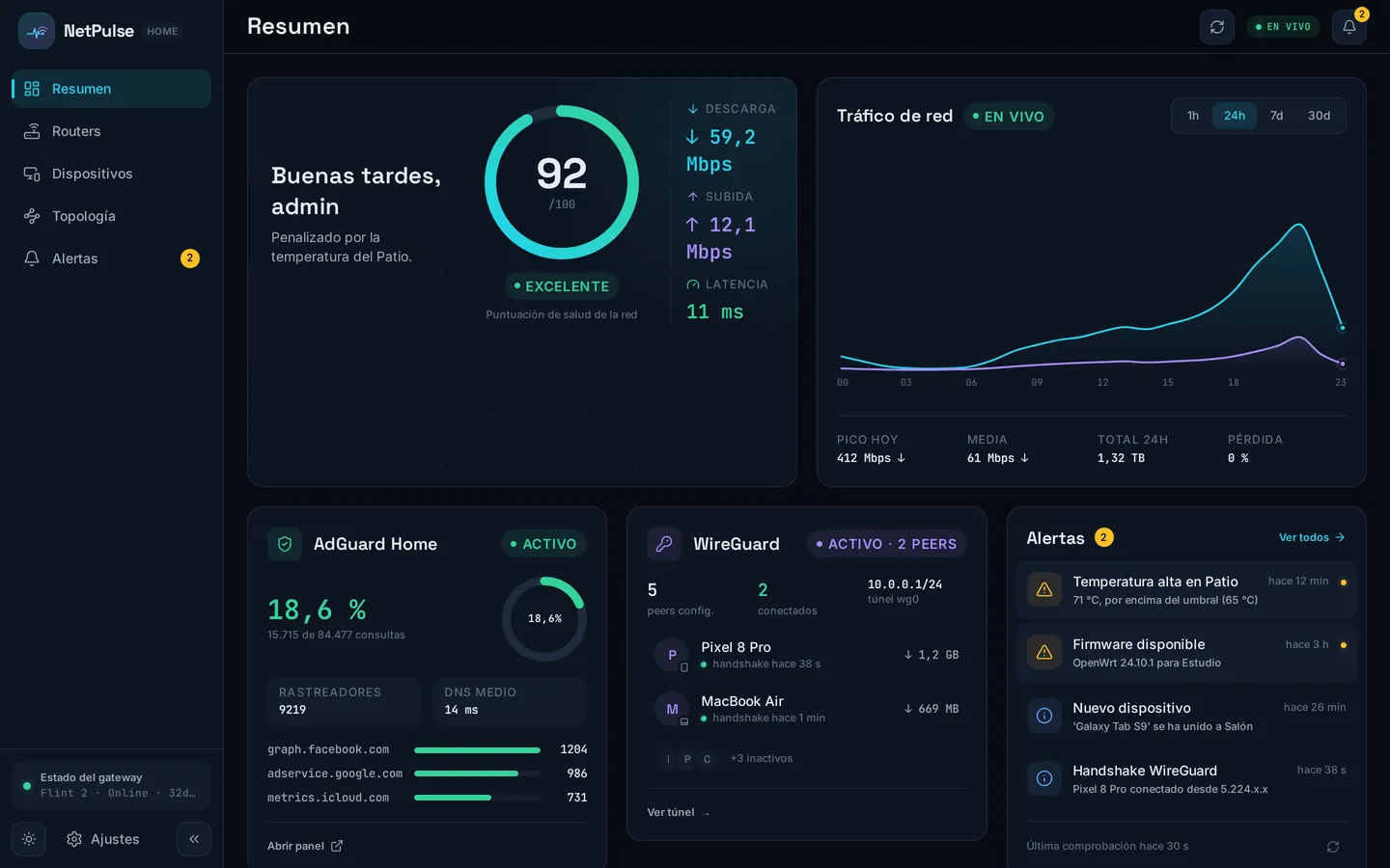 NetPulse - overview